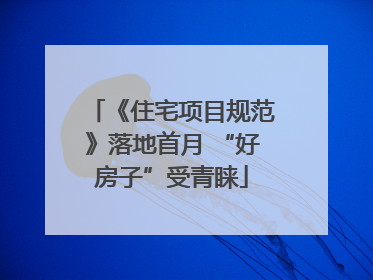 《住宅项目规范》落地首月 “好房子”受青睐