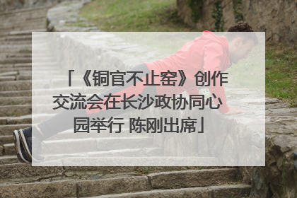 《铜官不止窑》创作交流会在长沙政协同心园举行 陈刚出席