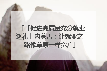 「促进高质量充分就业巡礼」内蒙古：让就业之路像草原一样宽广