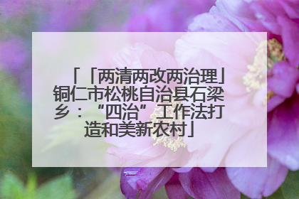 「两清两改两治理」铜仁市松桃自治县石梁乡：“四治”工作法打造和美新农村