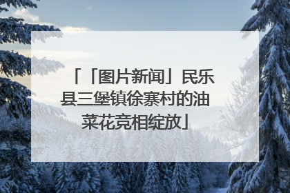 「图片新闻」民乐县三堡镇徐寨村的油菜花竞相绽放