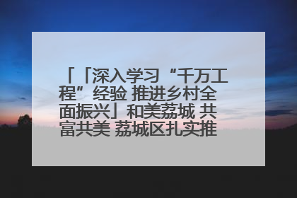 「深入学习“千万工程”经验 推进乡村全面振兴」和美荔城 共富共美 荔城区扎实推进乡村振兴工作
