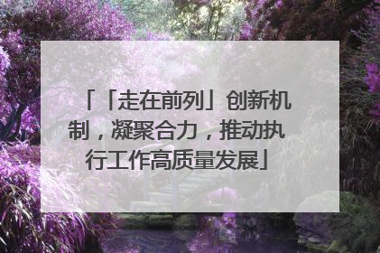 「走在前列」创新机制，凝聚合力，推动执行工作高质量发展