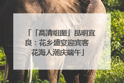「高清组图」昆明宜良：花乡盛宴迎宾客 花海人潮庆端午