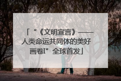 “《文明宣言》——人类命运共同体的美好画卷I”全球首发
