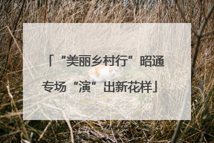 “美丽乡村行”昭通专场“演”出新花样