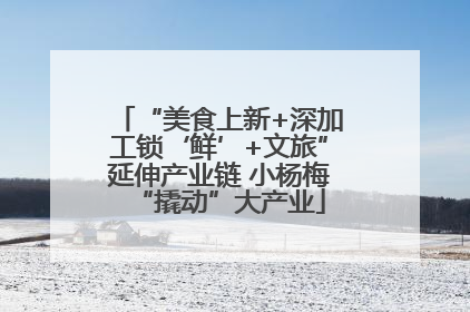 “美食上新+深加工锁‘鲜’+文旅”延伸产业链 小杨梅“撬动”大产业