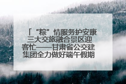 “粽”情服务护安康 三大交旅融合景区迎客忙——甘肃省公交建集团全力做好端午假期景区运营工作