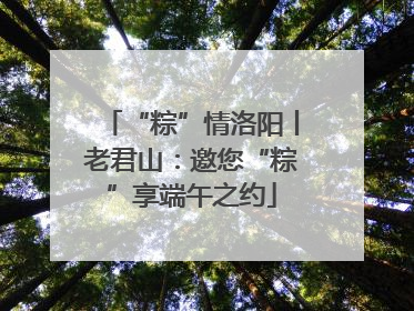 “粽”情洛阳丨老君山：邀您“粽”享端午之约