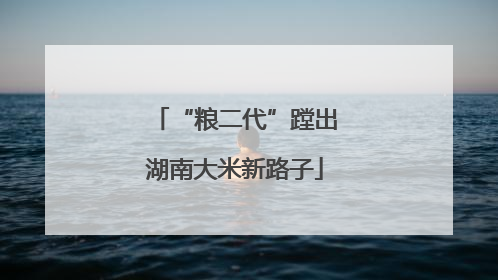 “粮二代”蹚出湖南大米新路子