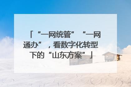 “一网统管”“一网通办”，看数字化转型下的“山东方案”