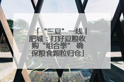 “三夏”一线丨肥城：打好夏粮收购“组合拳” 确保粮食颗粒归仓