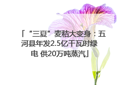 “三夏”麦秸大变身：五河县年发2.5亿千瓦时绿电 供20万吨蒸汽