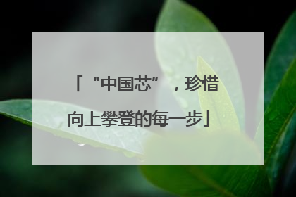 “中国芯”，珍惜向上攀登的每一步