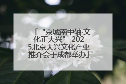 “京城南中轴·文化正大兴” 2025北京大兴文化产业推介会于成都举办