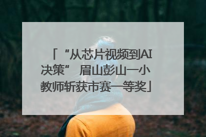 “从芯片视频到AI决策” 眉山彭山一小教师斩获市赛一等奖