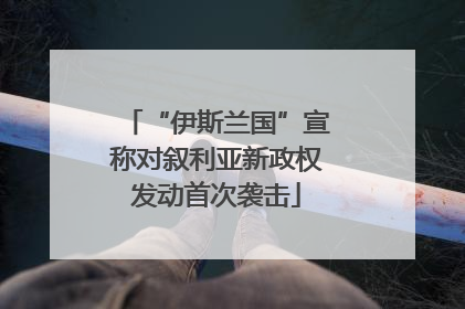 “伊斯兰国”宣称对叙利亚新政权发动首次袭击