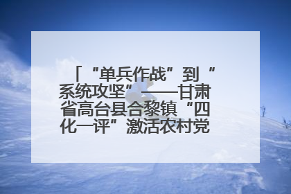 “单兵作战”到“系统攻坚”——甘肃省高台县合黎镇“四化一评”激活农村党员管理新引擎