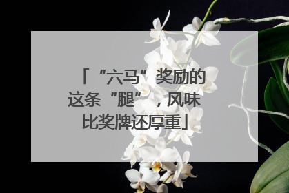 “六马”奖励的这条“腿”，风味比奖牌还厚重