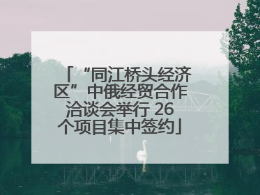 “同江桥头经济区”中俄经贸合作洽谈会举行 26个项目集中签约
