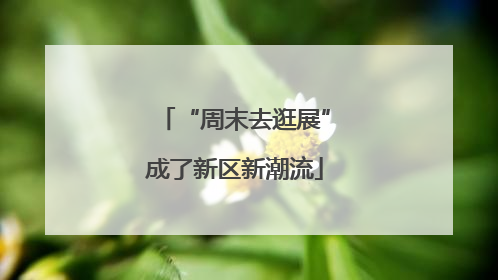 “周末去逛展”成了新区新潮流