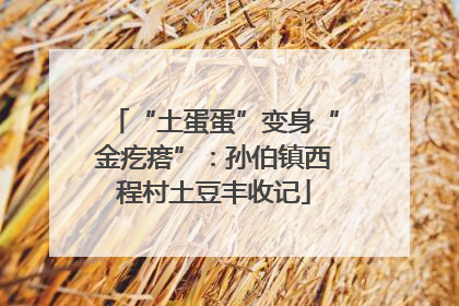“土蛋蛋”变身“金疙瘩”：孙伯镇西程村土豆丰收记