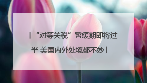 “对等关税”暂缓期即将过半 美国内外处境都不妙