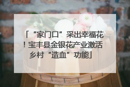 “家门口”采出幸福花！宝丰县金银花产业激活乡村“造血”功能