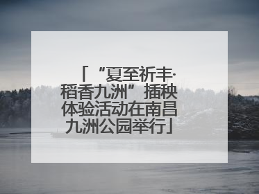 “夏至祈丰·稻香九洲”插秧体验活动在南昌九洲公园举行