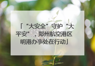 “大安全”守护“大平安”，郑州航空港区明港办事处在行动