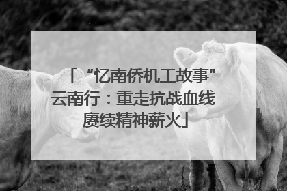 “忆南侨机工故事”云南行：重走抗战血线 赓续精神薪火