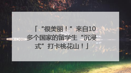 “很美丽！”来自10多个国家的留学生“沉浸式”打卡桃花山！