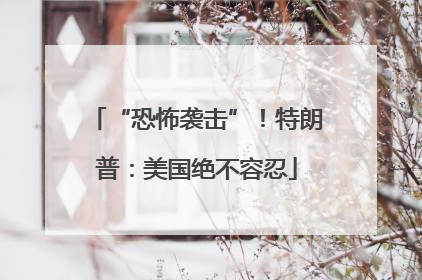 “恐怖袭击”！特朗普：美国绝不容忍