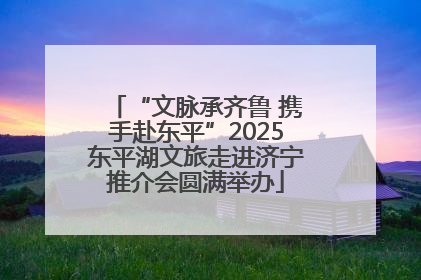 “文脉承齐鲁 携手赴东平”2025东平湖文旅走进济宁推介会圆满举办