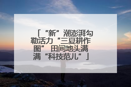 “新”潮澎湃勾勒活力“三夏耕作图” 田间地头满满“科技范儿”