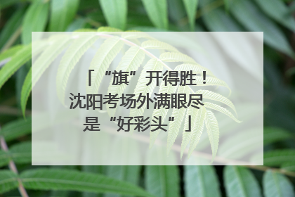 “旗”开得胜！沈阳考场外满眼尽是“好彩头”