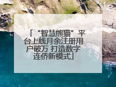 “智慧熊猫”平台上线月余注册用户破万 打造数字连侨新模式