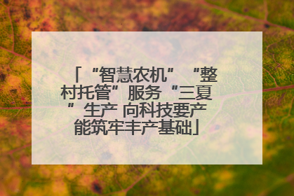 “智慧农机”“整村托管”服务“三夏”生产 向科技要产能筑牢丰产基础