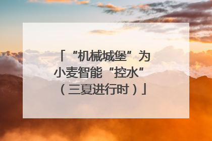 “机械城堡”为小麦智能“控水”（三夏进行时）