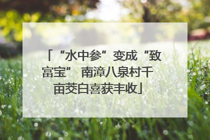 “水中参”变成“致富宝” 南漳八泉村千亩茭白喜获丰收