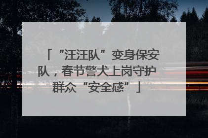 “汪汪队”变身保安队，春节警犬上岗守护群众“安全感”