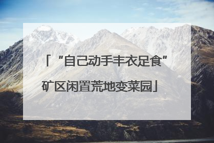 “自己动手丰衣足食”矿区闲置荒地变菜园