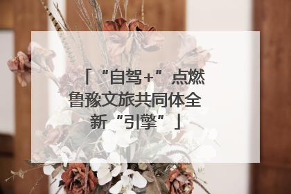“自驾+”点燃鲁豫文旅共同体全新“引擎”