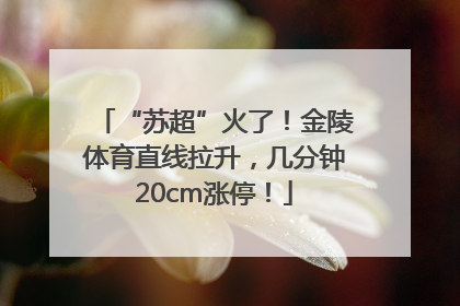 “苏超”火了！金陵体育直线拉升，几分钟20cm涨停！