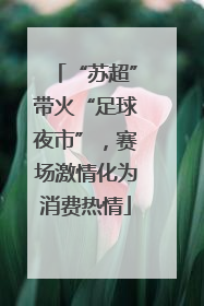 “苏超”带火“足球夜市”，赛场激情化为消费热情