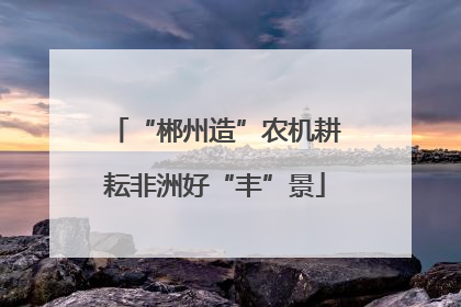 “郴州造”农机耕耘非洲好“丰”景