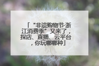 “非遗购物节·浙江消费季”又来了，探店、直播、云平台，你玩哪哪种