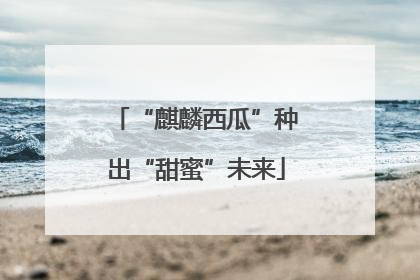 “麒麟西瓜”种出“甜蜜”未来