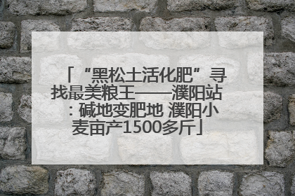 “黑松土活化肥”寻找最美粮王——濮阳站：碱地变肥地 濮阳小麦亩产1500多斤