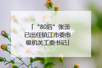 “80后”张蕾已出任镇江市委市级机关工委书记